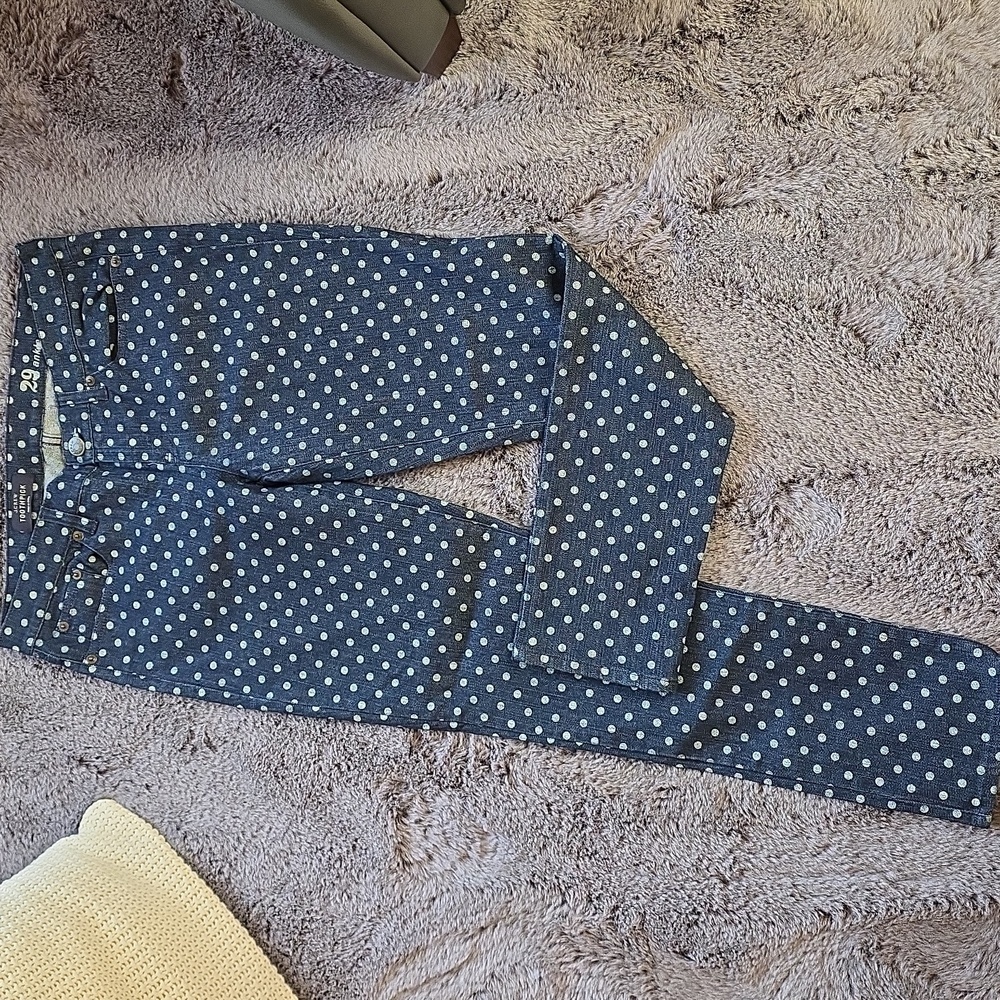J Crew Toothpick polka dot indigo Blue White denim ankle jeans size 29